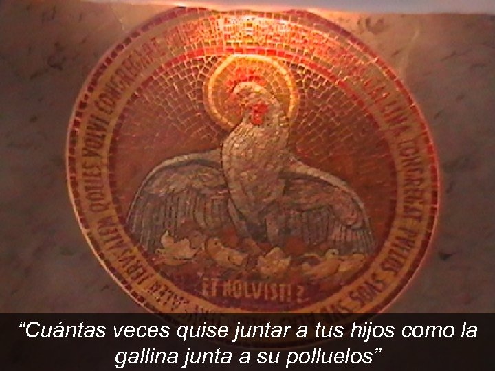 “Cuántas veces quise juntar a tus hijos como la gallina junta a su polluelos”