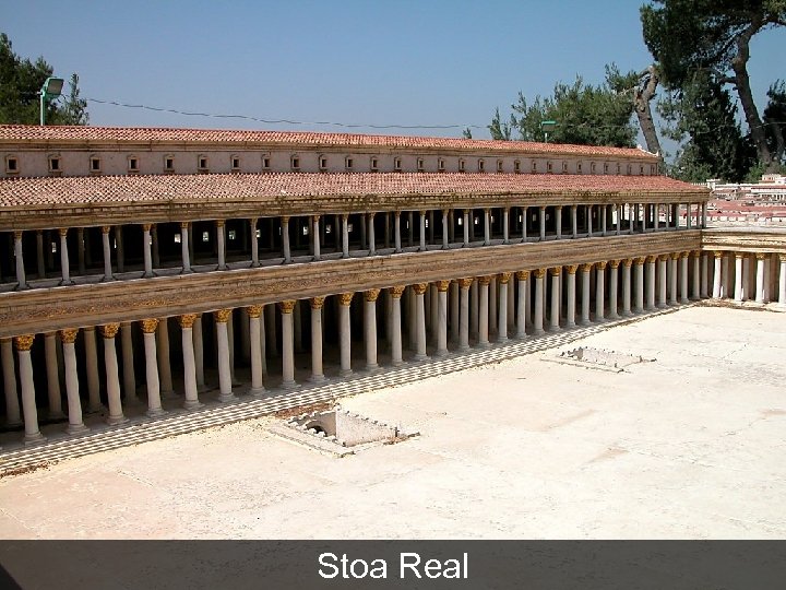 Stoa Real 