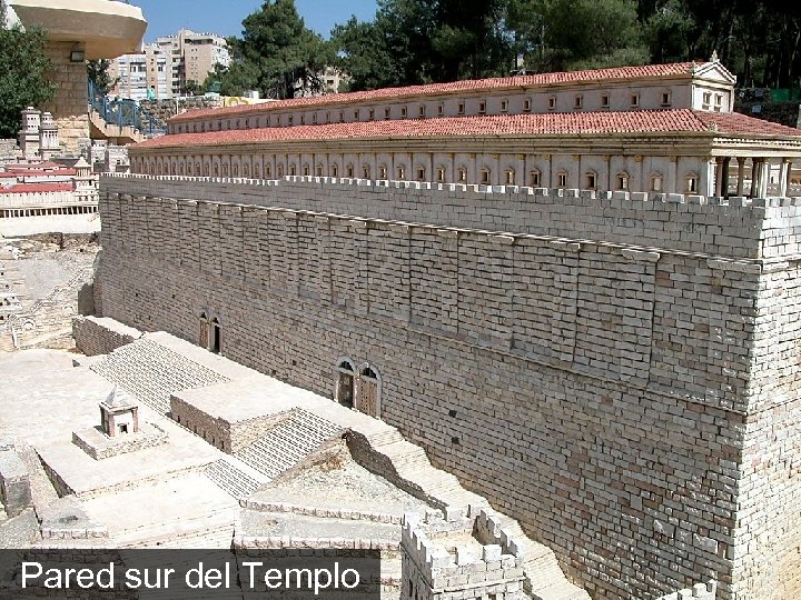 Pared sur del Templo 