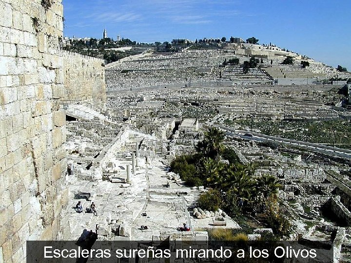 Escaleras sureñas mirando a los Olivos 