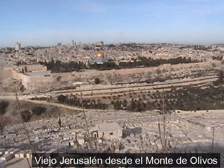 Viejo Jerusalén desde el Monte de Olivos 