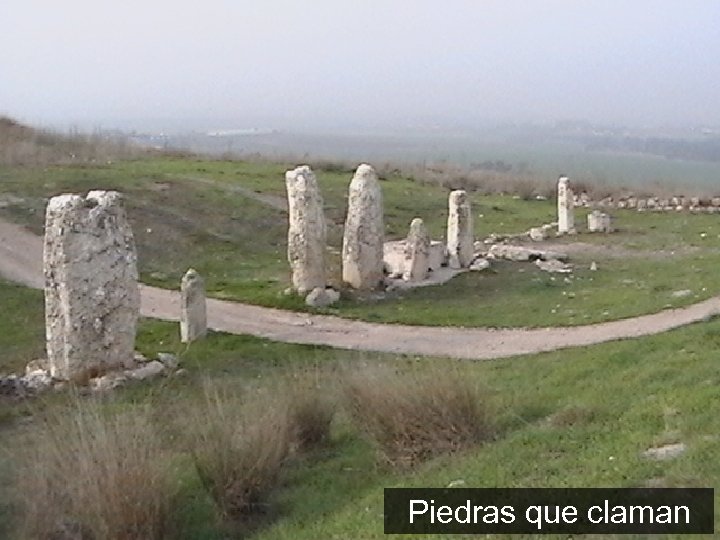 Piedras que claman 