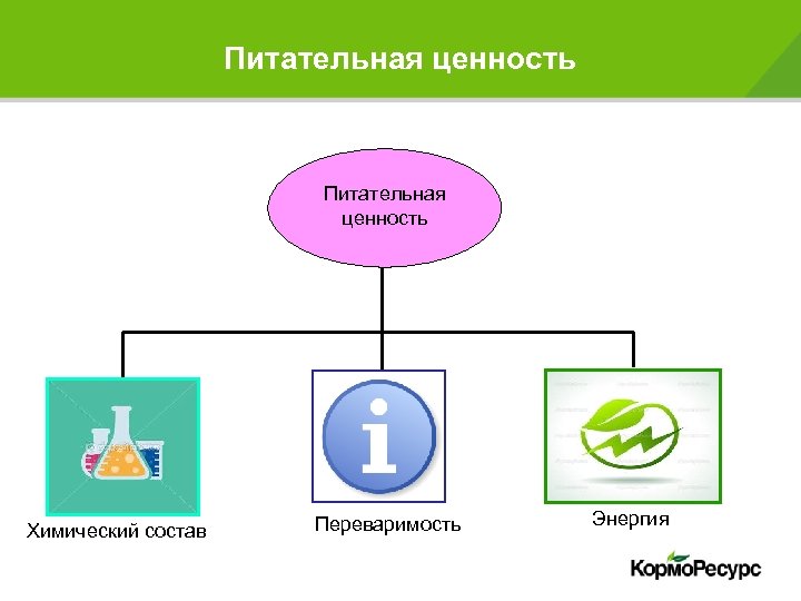 Питательная ценность Химический состав Переваримость Энергия 