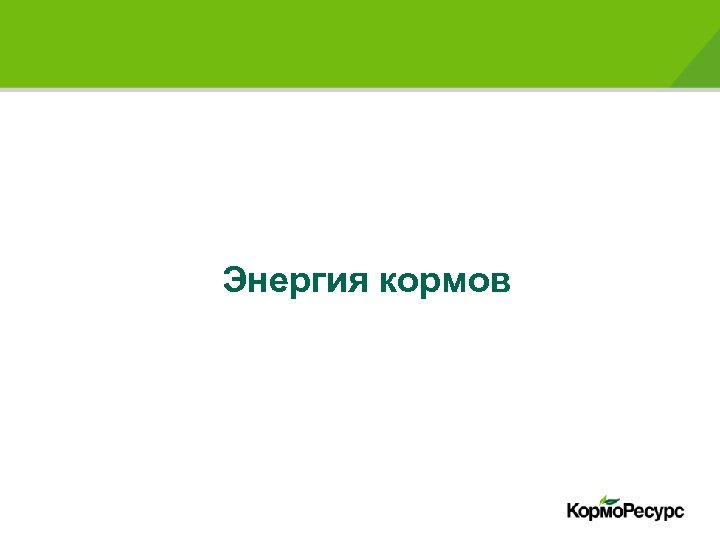 Энергия кормов 