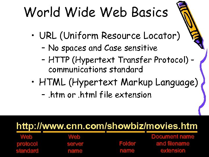 World Wide Web Basics • URL (Uniform Resource Locator) – No spaces and Case