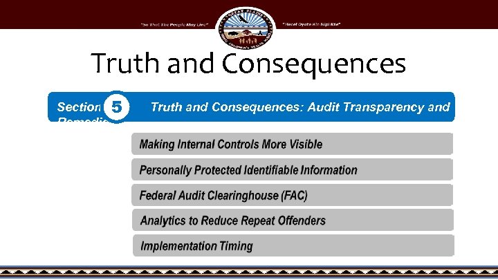 Truth and Consequences Section 5 Remedies Truth and Consequences: Audit Transparency and 