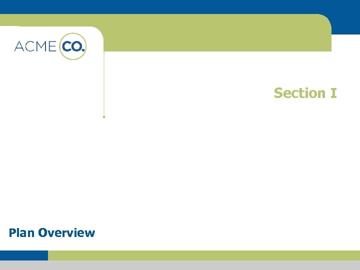 Section I Plan Overview 