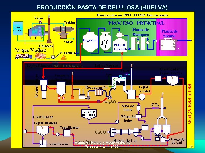 PRODUCCIÓN PASTA DE CELULOSA (HUELVA) Na. OH + Na 2 CO 3 Na 2