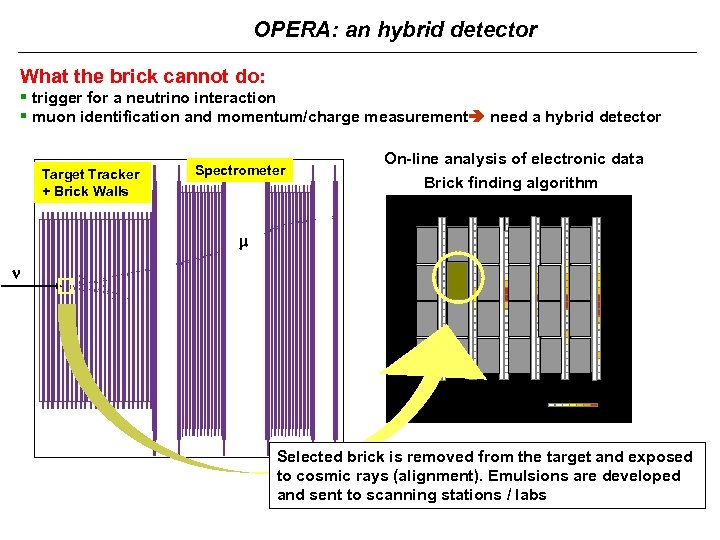 OPERA: an hybrid detector What the brick cannot do: § trigger for a neutrino