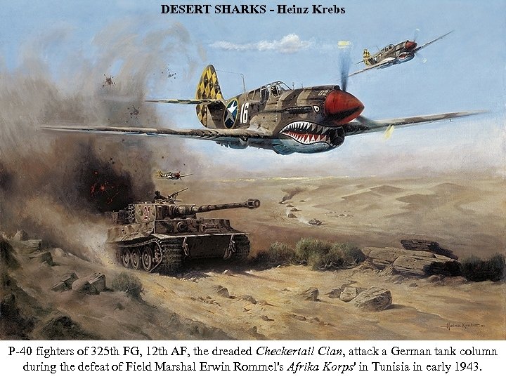 DESERT SHARKS - Heinz Krebs P-40 fighters of 325 th FG, 12 th AF,