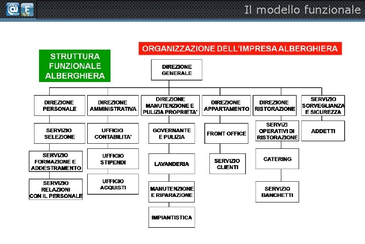 Il modello funzionale 