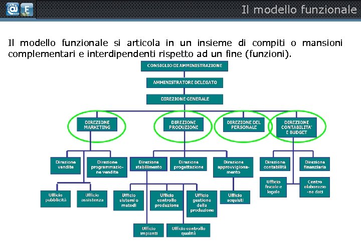 Il modello funzionale si articola in un insieme di compiti o mansioni complementari e