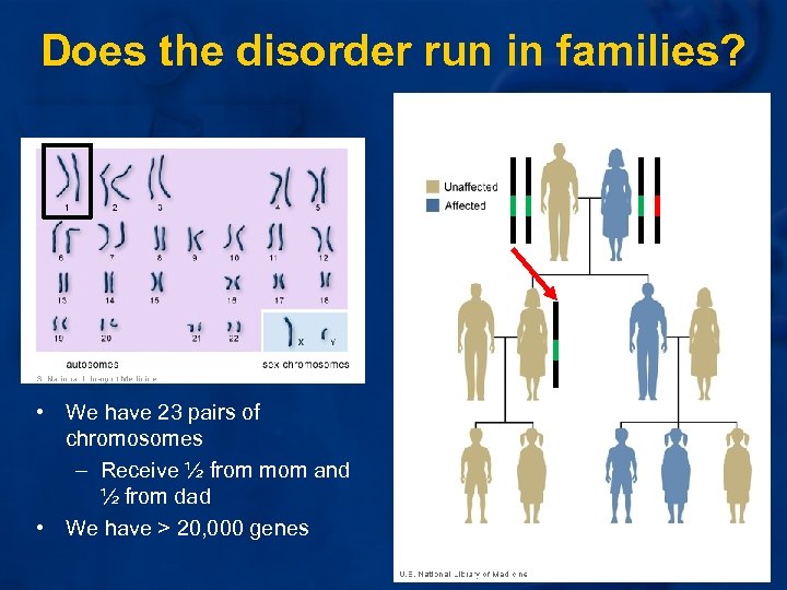 Does the disorder run in families? • We have 23 pairs of chromosomes –