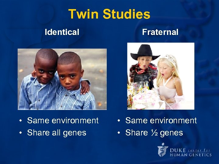 Twin Studies Identical • Same environment • Share all genes Fraternal • Same environment
