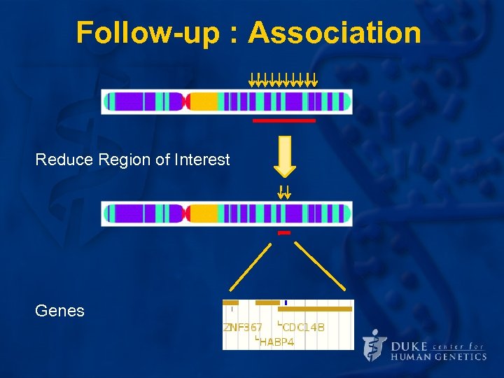 Follow-up : Association Reduce Region of Interest Genes 