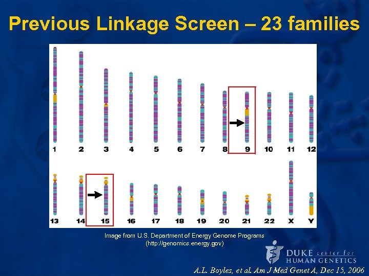 Previous Linkage Screen – 23 families Image from U. S. Department of Energy Genome