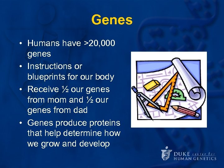 Genes • Humans have >20, 000 genes • Instructions or blueprints for our body