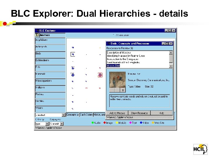 BLC Explorer: Dual Hierarchies - details 
