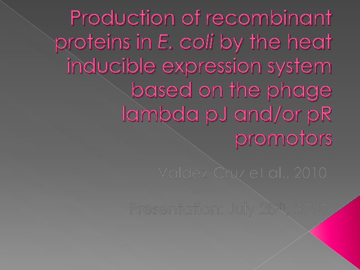 Production of recombinant proteins in E. coli by the heat inducible expression system based