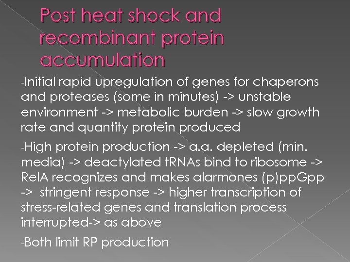 Post heat shock and recombinant protein accumulation -Initial rapid upregulation of genes for chaperons