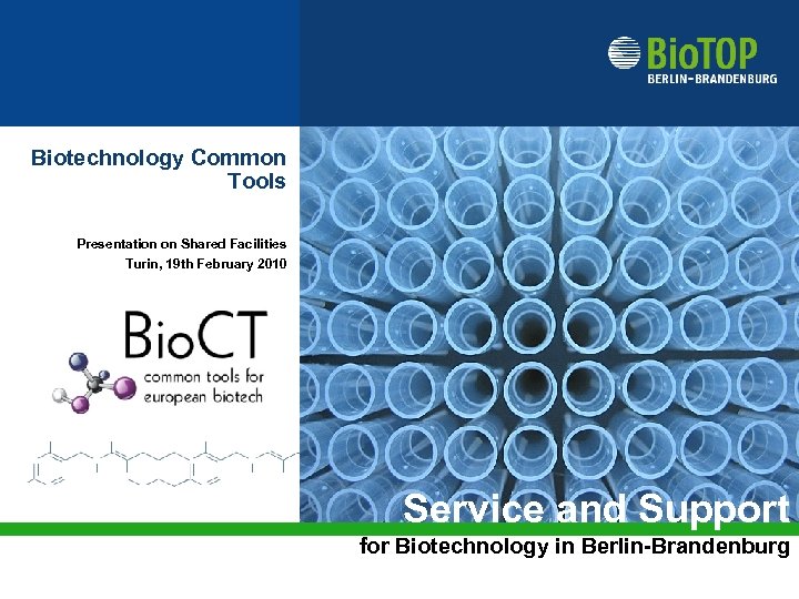 Biotechnology Common Tools Presentation on Shared Facilities Turin, 19 th February 2010 Service and