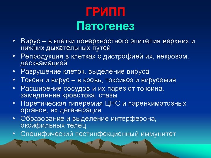 ГРИПП Патогенез • Вирус – в клетки поверхностного эпителия верхних и нижних дыхательных путей