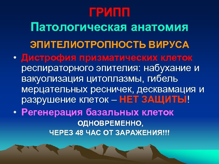ГРИПП Патологическая анатомия ЭПИТЕЛИОТРОПНОСТЬ ВИРУСА • Дистрофия призматических клеток респираторного эпителия: набухание и вакуолизация