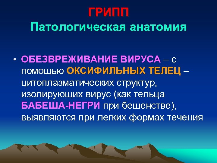 ГРИПП Патологическая анатомия • ОБЕЗВРЕЖИВАНИЕ ВИРУСА – с помощью ОКСИФИЛЬНЫХ ТЕЛЕЦ – цитоплазматических структур,