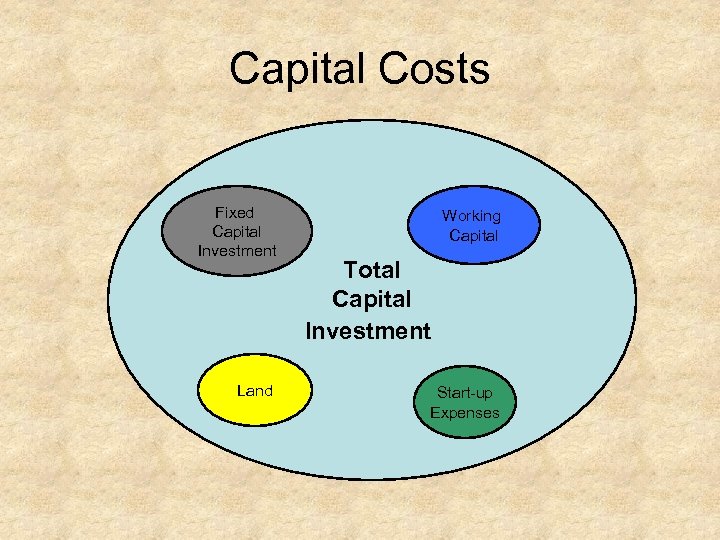 Capital Costs Fixed Capital Investment Land Working Capital Total Capital Investment Start up Expenses