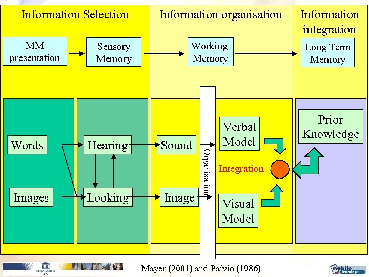 Information Selection MM presentation Images Hearing Looking Working Memory Sound Image Verbal Model Organisation