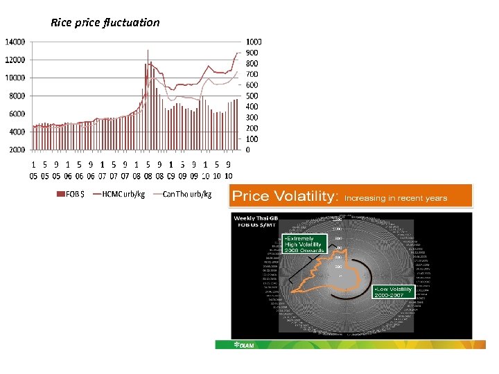 Rice price fluctuation 