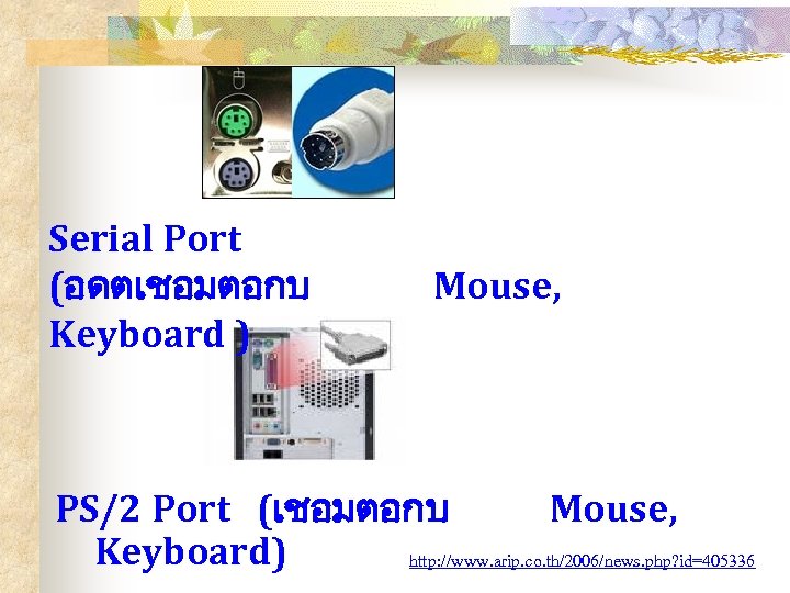 Serial Port (อดตเชอมตอกบ Keyboard ) Mouse, PS/2 Port (เชอมตอกบ Mouse, Keyboard) http: //www. arip.