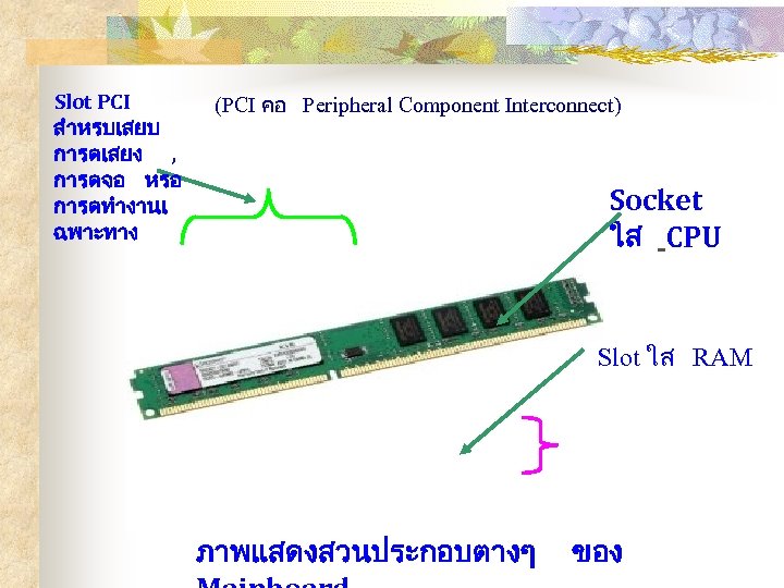 Slot PCI (PCI คอ Peripheral Component Interconnect) สำหรบเสยบ การดเสยง , การดจอ หรอ Socket การดทำงานเ