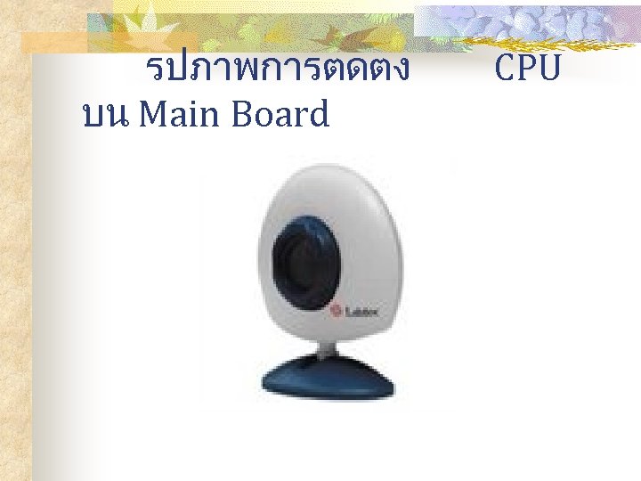 รปภาพการตดตง บน Main Board CPU 