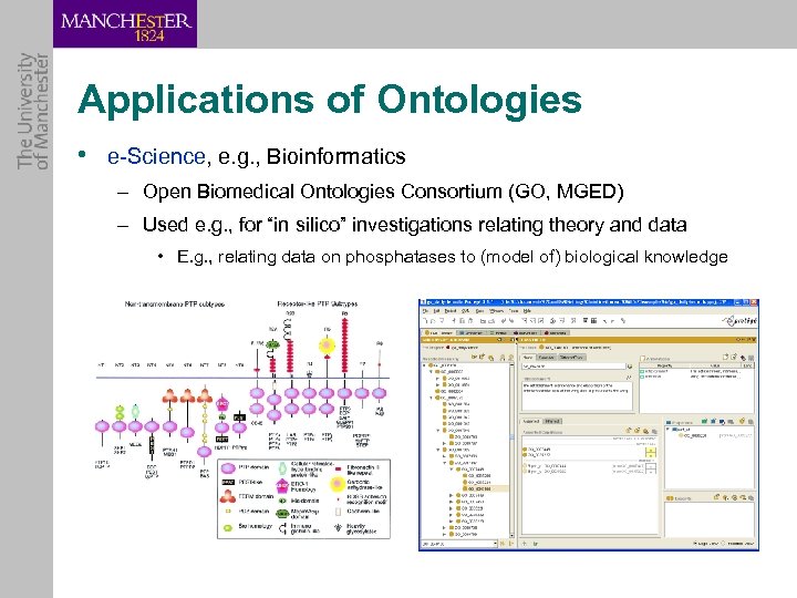 Applications of Ontologies • e-Science, e. g. , Bioinformatics – Open Biomedical Ontologies Consortium