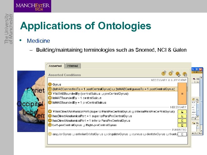 Applications of Ontologies • Medicine – Building/maintaining terminologies such as Snomed, NCI & Galen