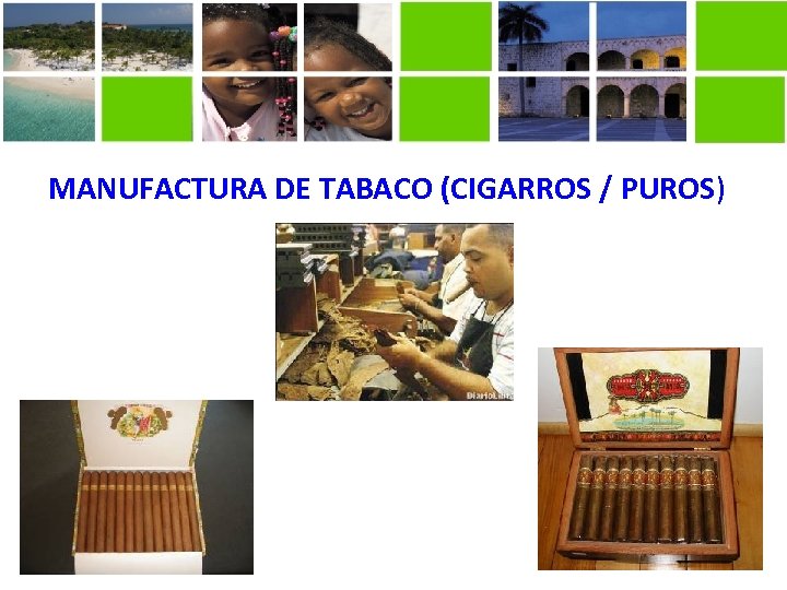 MANUFACTURA DE TABACO (CIGARROS / PUROS) 8 