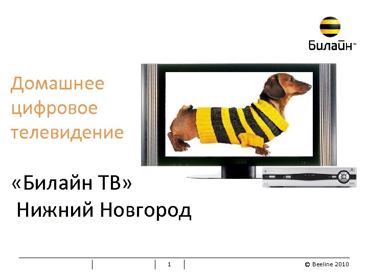 Домашний интернет и телевидение нижний новгород. Билайн цифровое ТВ. Билайн домашнее Телевидение. Домашнее цифровое Телевидение Билайн. Цвета Билайн.