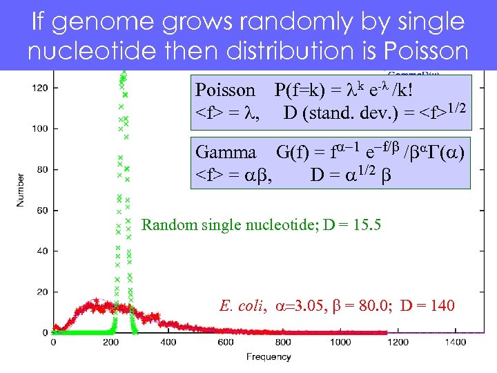 If genome grows randomly by single nucleotide then distribution is Poisson P(f=k) = lk