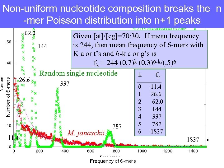 Non-uniform nucleotide composition breaks the n -mer Poisson distribution into n+1 peaks Number of