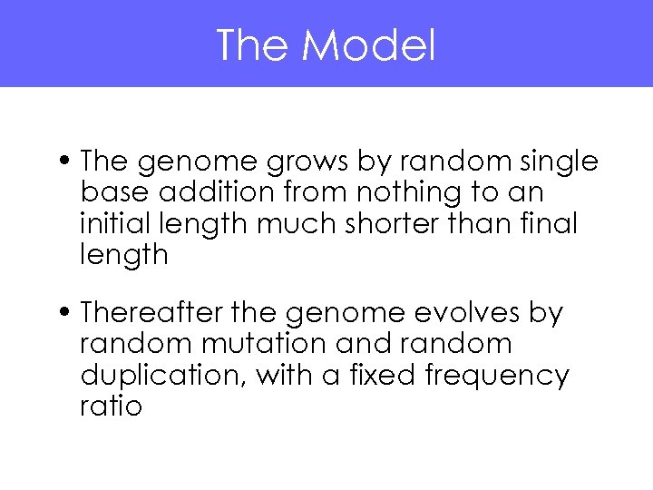 The Model • The genome grows by random single base addition from nothing to