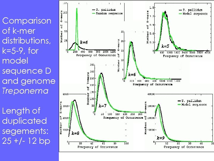 Comparison of k-mer distributions, k=5 -9, for model sequence D and genome Treponema Length