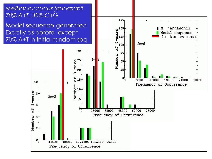 Methanoccocus jannaschii 70% A+T, 30% C+G Model sequence generated Exactly as before, except 70%