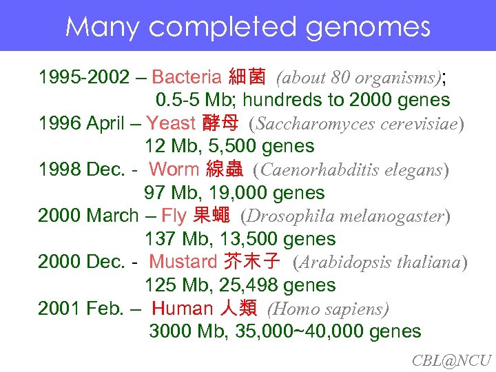 Many completed genomes Many. Bacteria 細菌 (about 80 organisms); completed genomes 1995 -2002 –