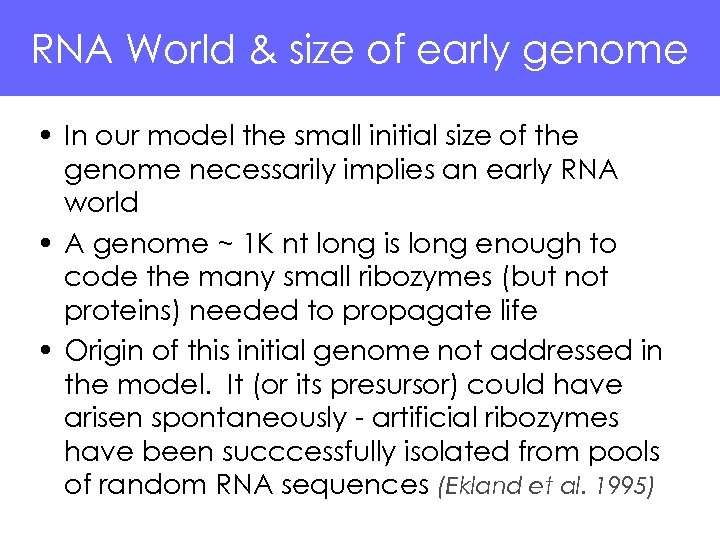 RNA World & size of early genome • In our model the small initial