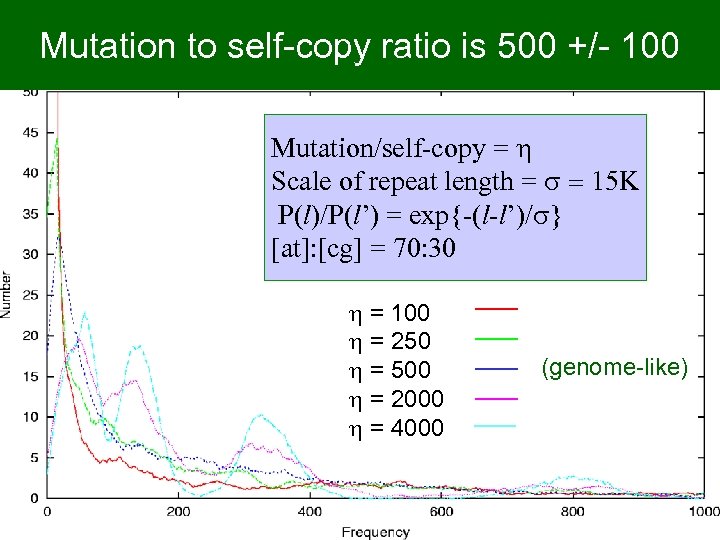 Mutation to self-copy ratio is 500 +/- 100 Mutation/self-copy = h Scale of repeat