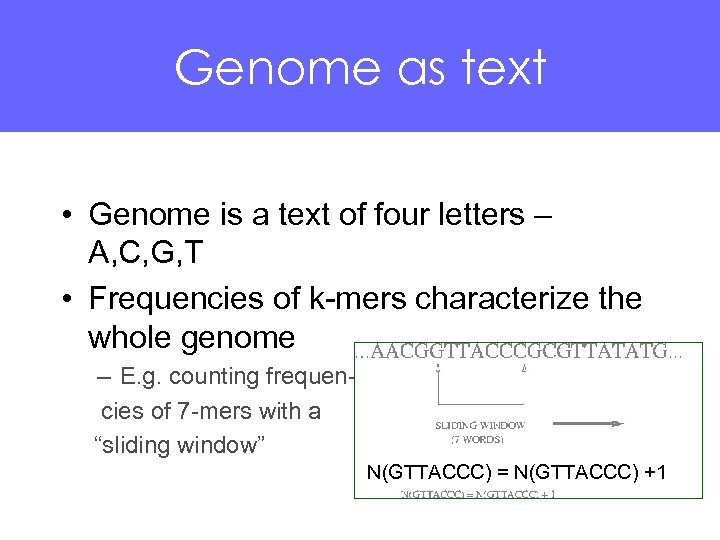 Genome as text • Genome is a text of four letters – A, C,