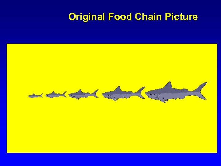 Original Food Chain Picture 