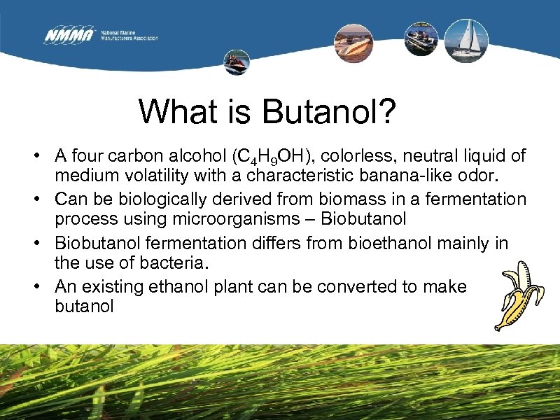 What is Butanol? • A four carbon alcohol (C 4 H 9 OH), colorless,