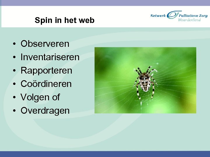 Spin in het web • • • Observeren Inventariseren Rapporteren Coördineren Volgen of Overdragen
